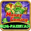 7VVBet Premium Pakistan
