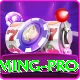 Luck Pub Game Gaming Pro